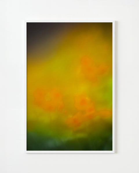 アート・デザイン・音楽 The Autumns of Spring - Jordan Sullivan The Autumns of Spring by Jordan Sullivan — Jane & Jeremy