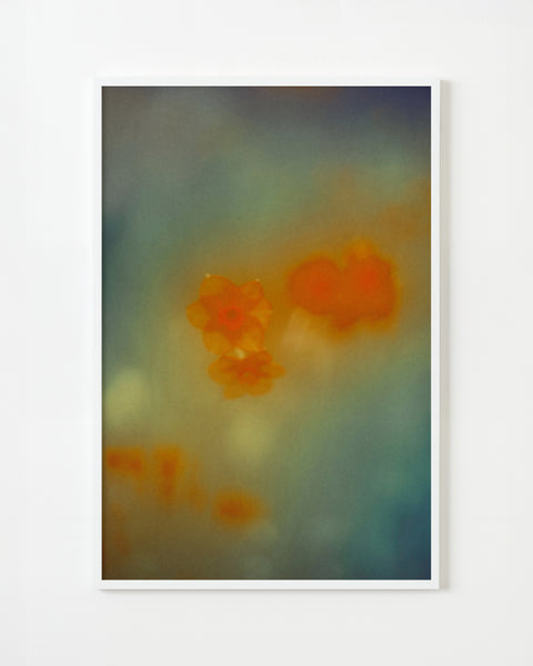 アート・デザイン・音楽 The Autumns of Spring - Jordan Sullivan jordan-sullivan-the-autumns-of