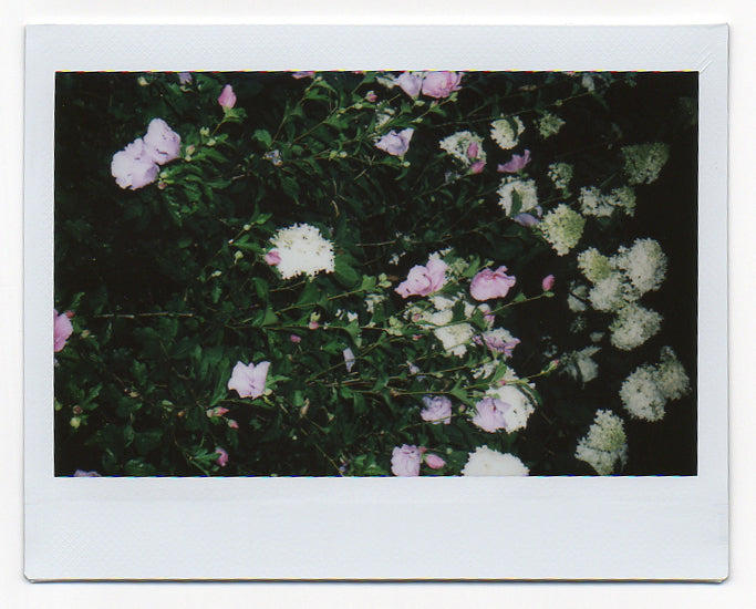 Photography by Ryan James MacFarland titled "Sketchbook (Pair #5)" - 3.