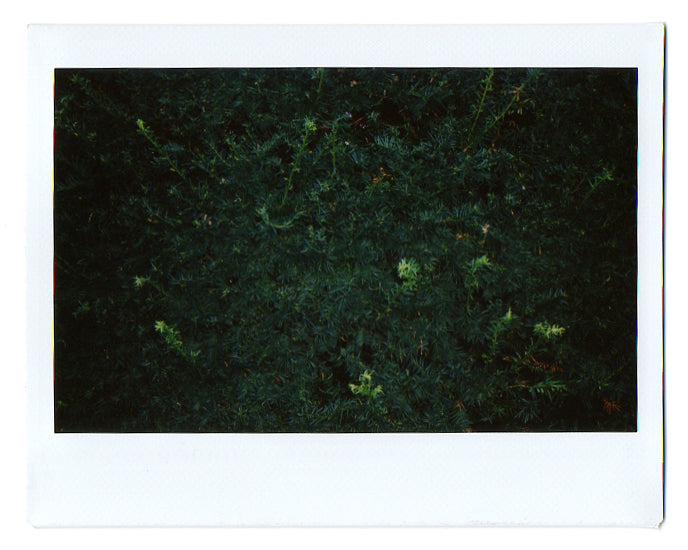 Photography by Ryan James MacFarland titled "Sketchbook (Pair #5)" - 4.