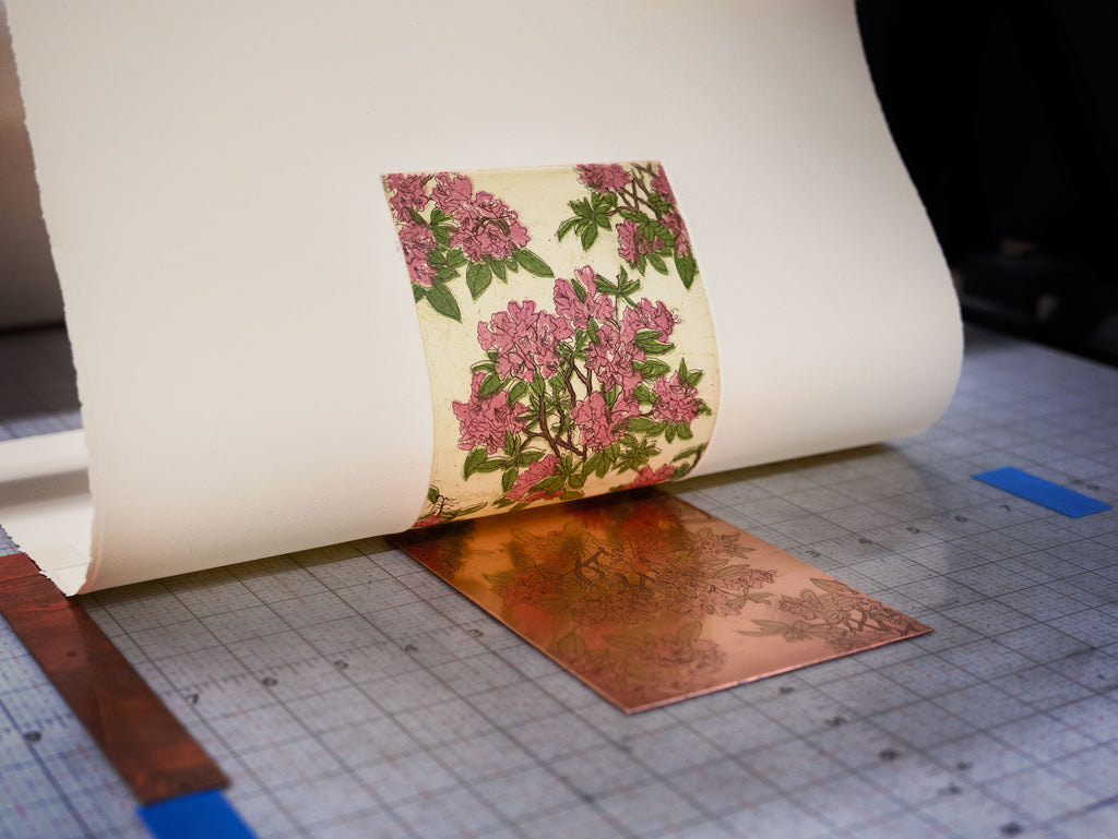 Print by Ruben Castillo titled "Rhododendron (Wallpaper Proposal)" - 5.