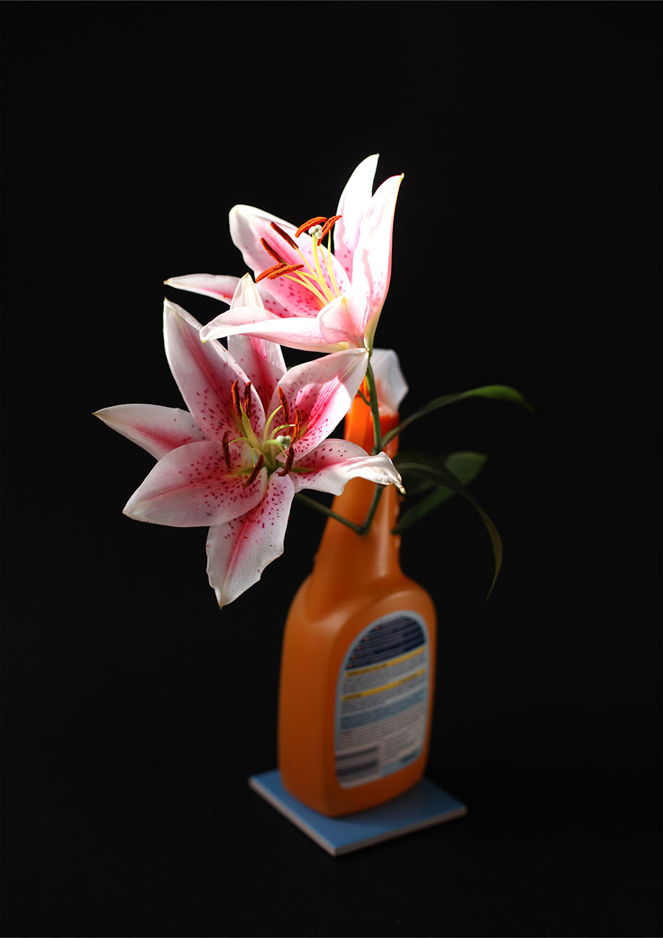 Photography by Maria de la O Garrido titled "Almost empty plastic bottles of whatever #4" - 2.