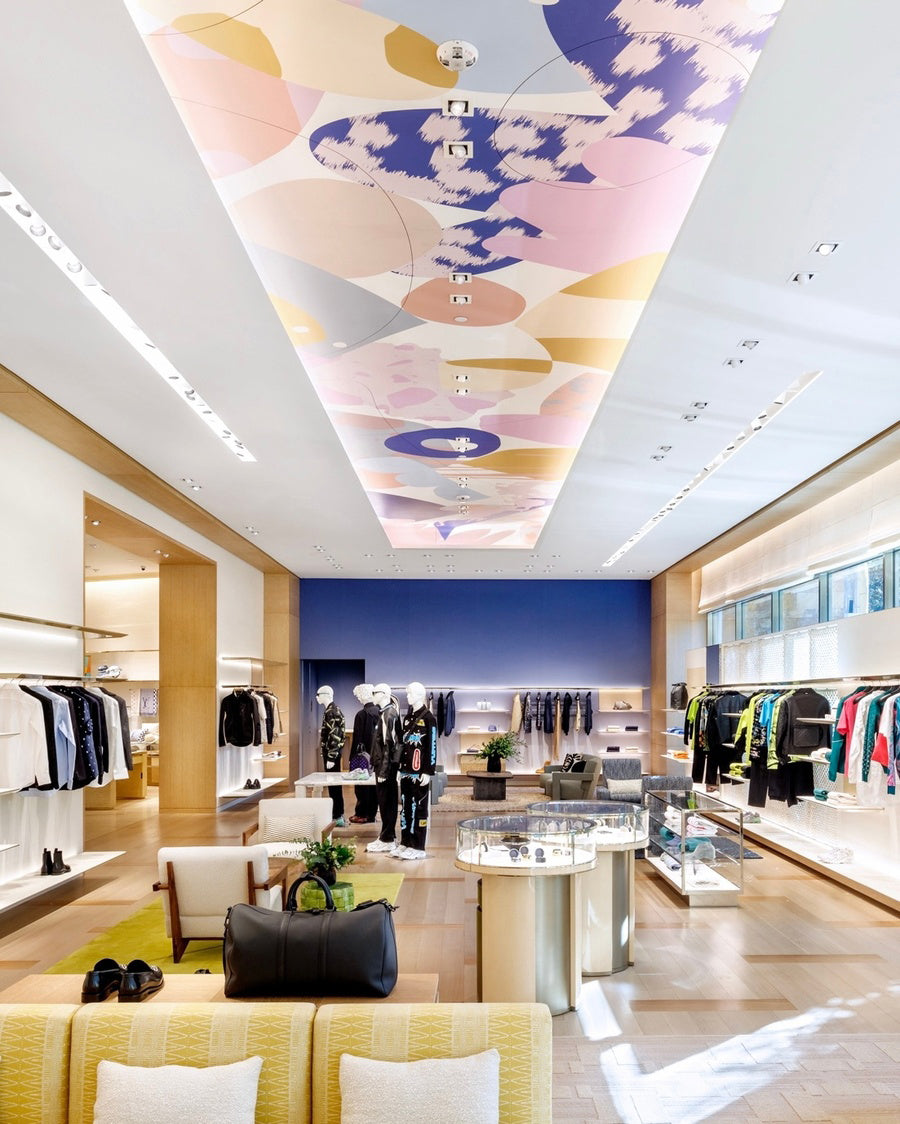 Custom Commission by Alex Proba titled "Site-Specific Series: Ceiling Murals" - 1.