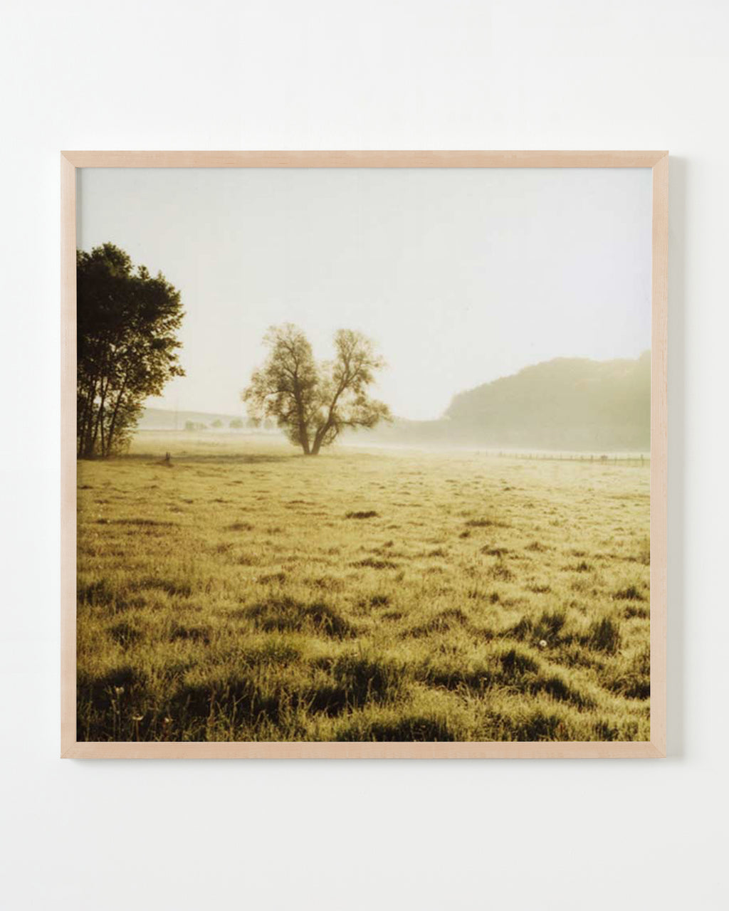 Photography by Anna Moller titled "Luxembourg View" - 4.