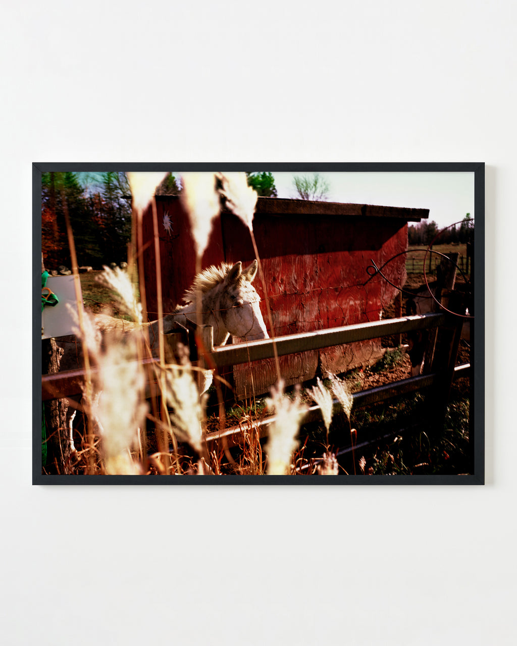 Photography by Anna Moller titled "Red Barn" - 3.