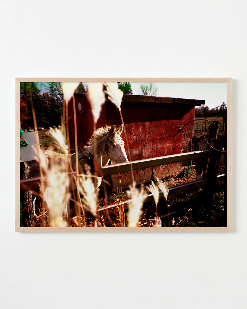 Photography by Anna Moller titled "Red Barn" - 4.