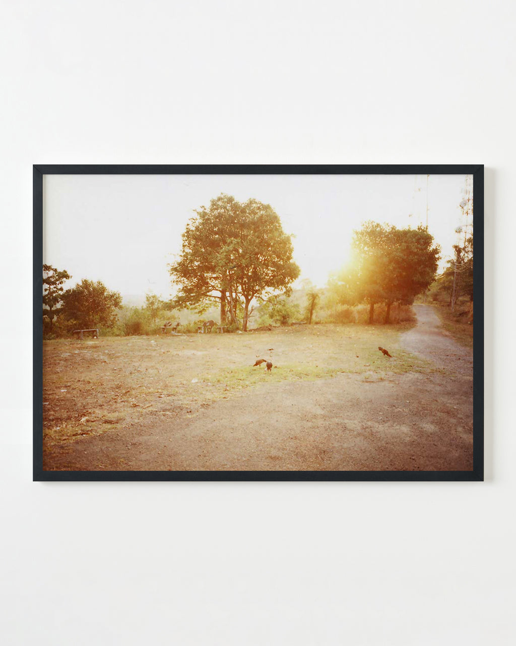 Photography by Anna Moller titled "Cambodia Scape" - 3.