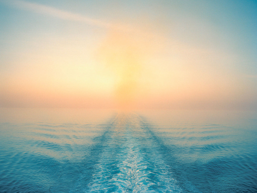 Photography by Anna Beeke titled "26 01'24.1