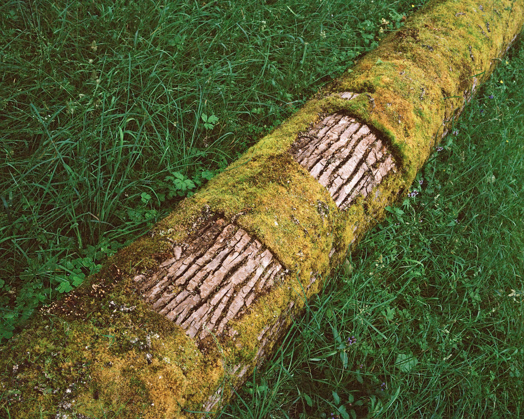 Photography by Anna Beeke titled "Deviant Geometry" - 2.