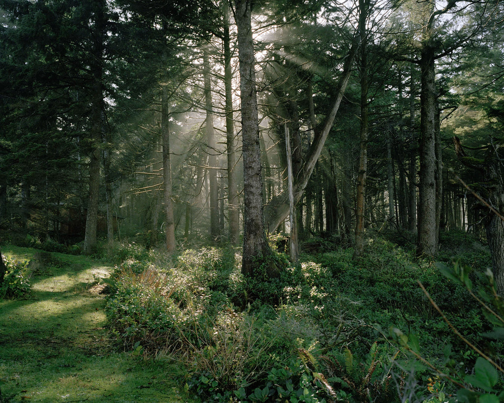 Photography by Anna Beeke titled "Lux Dei" - 2.