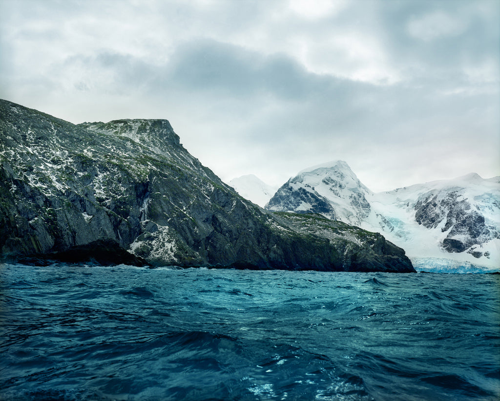 Photography by Rachel Sussman titled "Antarctic Moss #1202-7B33 (5,500 years old; Elephant Island, Antarctica)" - 2.