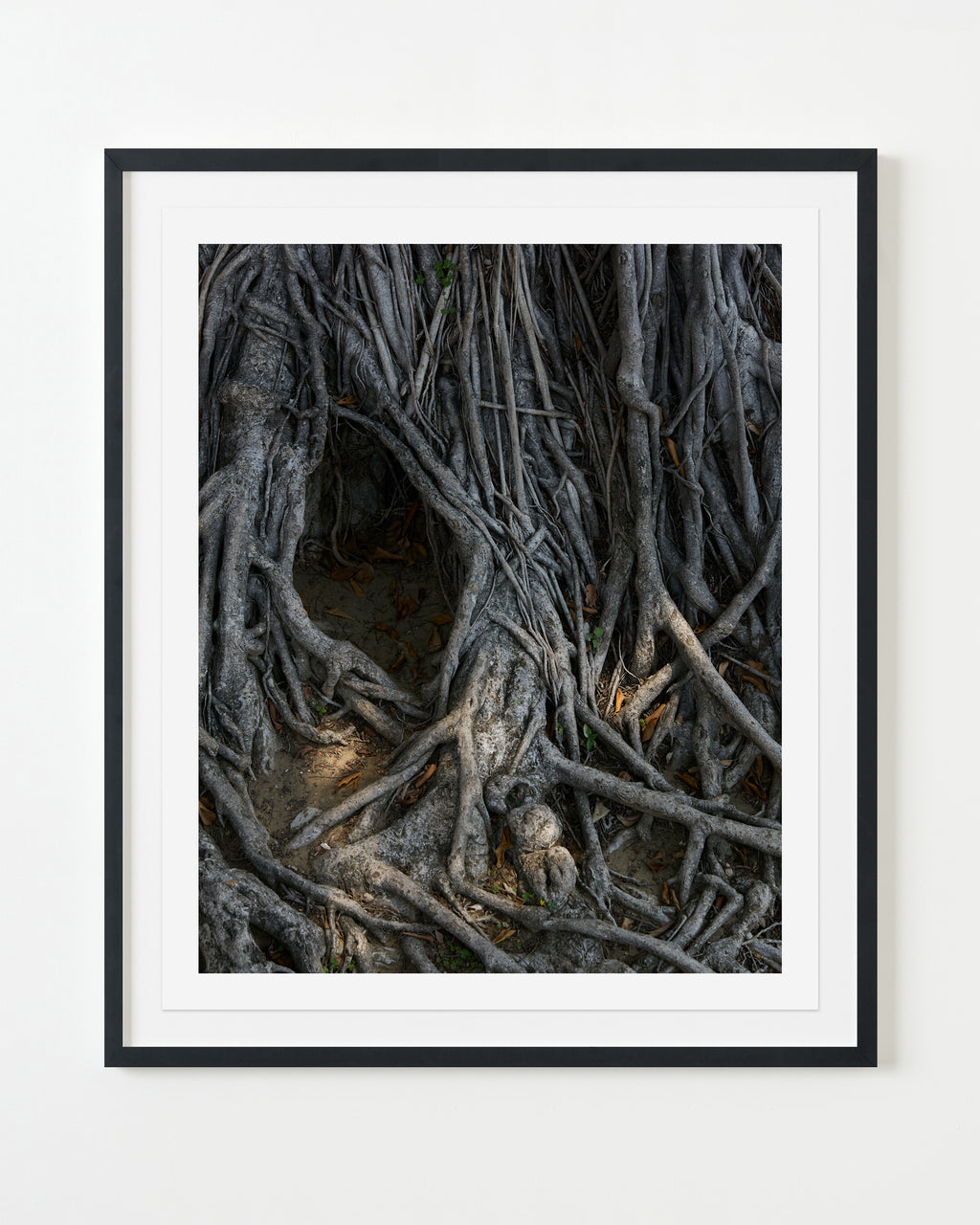 Photography by Ashok Sinha titled "Untitled #1" - 3.