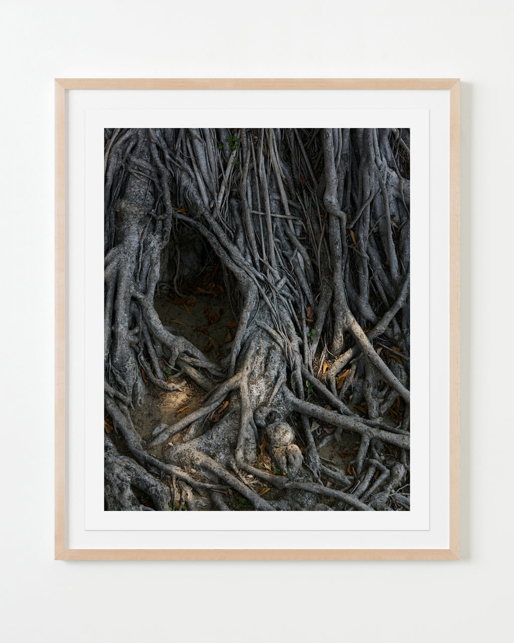 Photography by Ashok Sinha titled "Untitled #1" - 4.