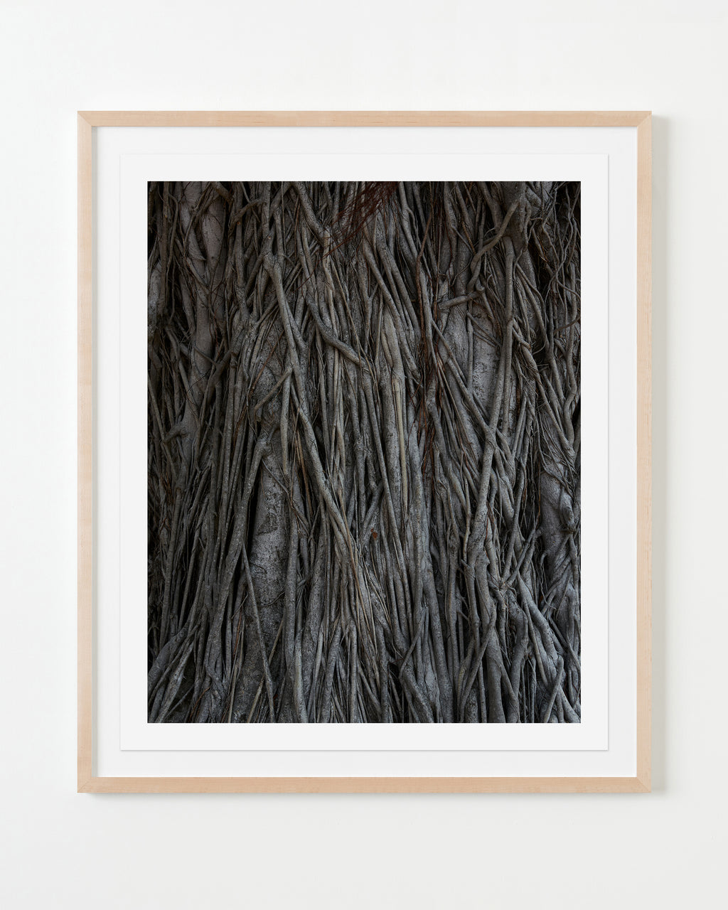 Photography by Ashok Sinha titled "Untitled #2" - 4.