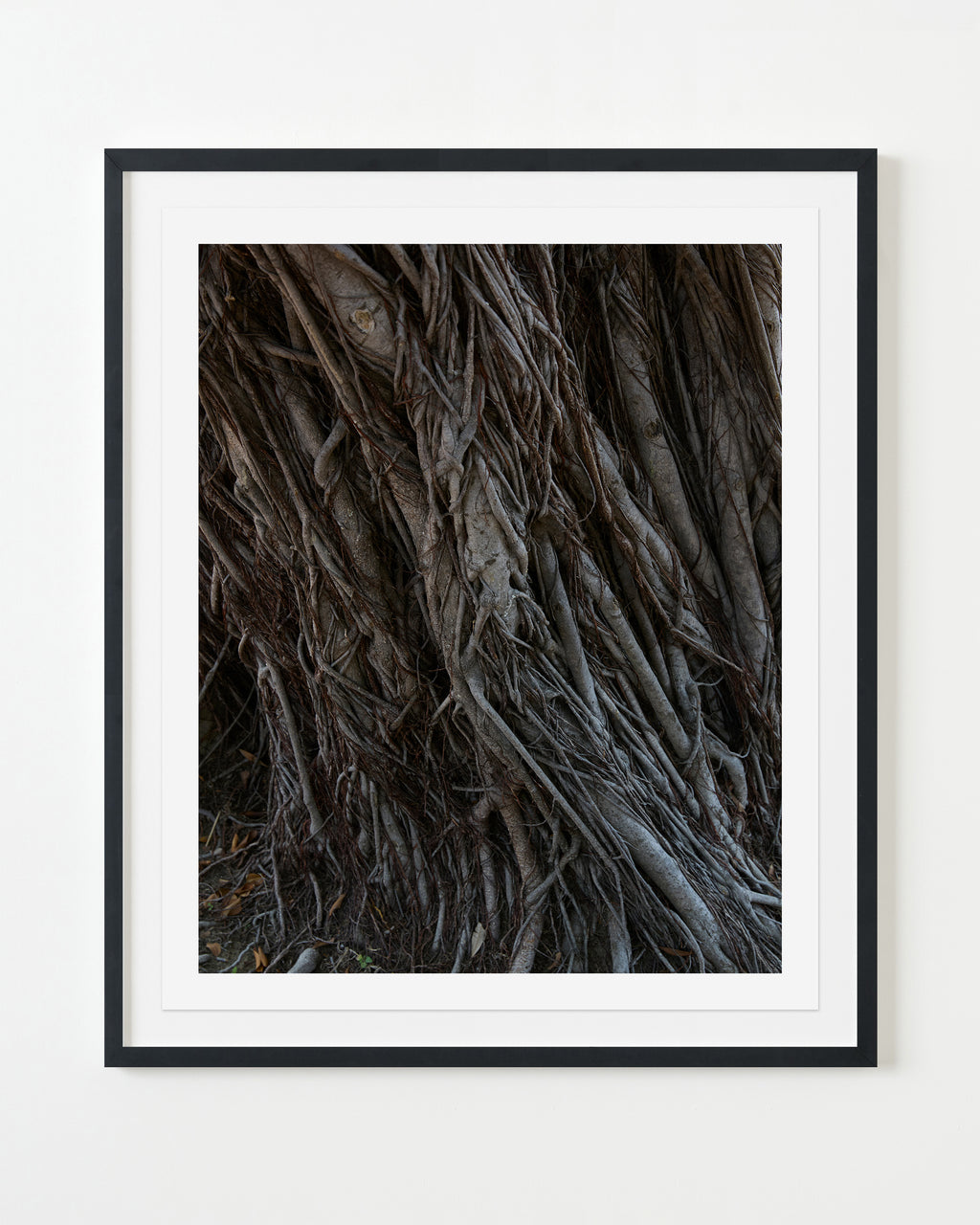 Photography by Ashok Sinha titled "Untitled #3" - 3.