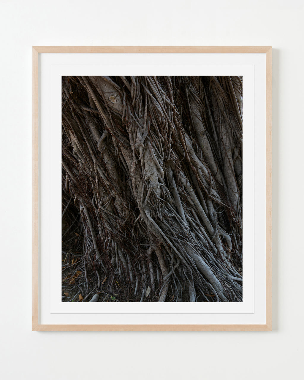 Photography by Ashok Sinha titled "Untitled #3" - 4.