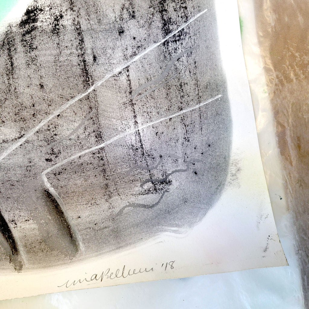 Drawing by Nina Bellucci titled "Daffodil Diary" - 5.