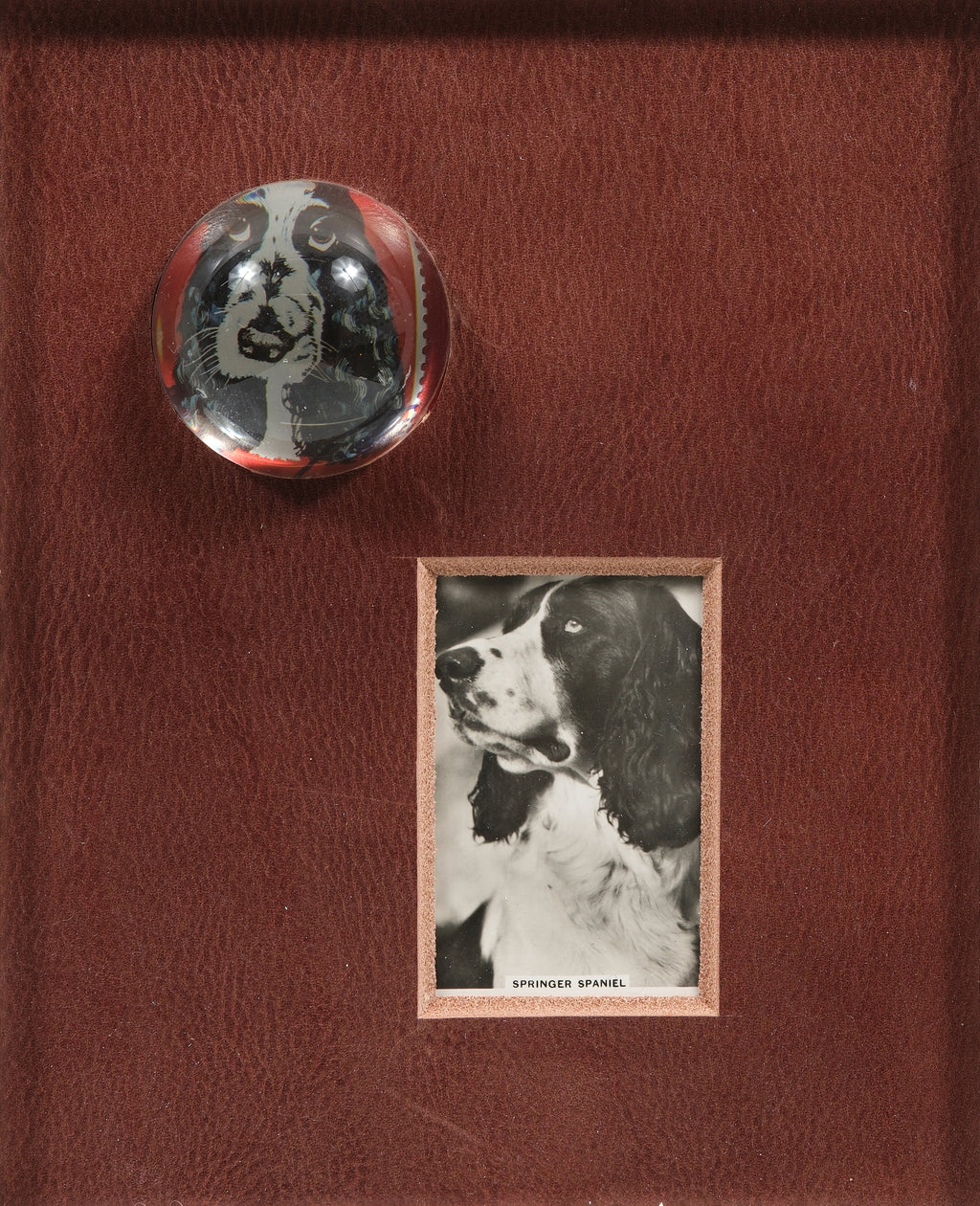 Mixed Media by Ben Skinner titled "Leather Dog Lovers - Spaniel" - 2.