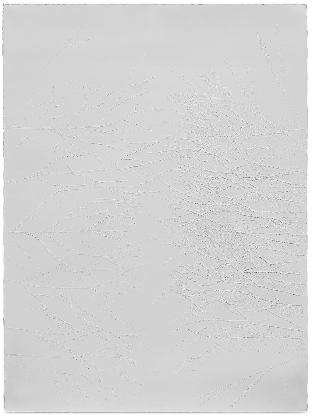 Drawing by Colleen Ho titled "Pass" - 2.