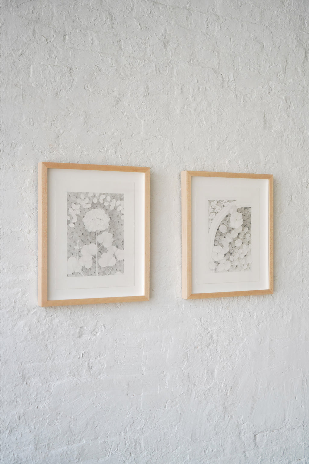 Drawing by Lucía Rodríguez Pérez titled "Untitled (two flowers)" - 7.