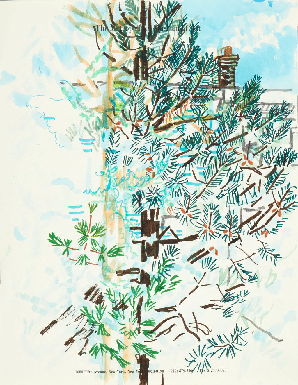 Drawing by David Rhoads titled "Backyard Evergreens" - 2.