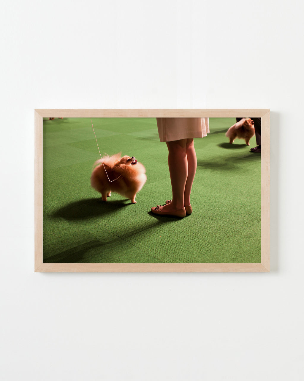 Photography by Dolly Faibyshev titled "Double Pomeranian" - 4.