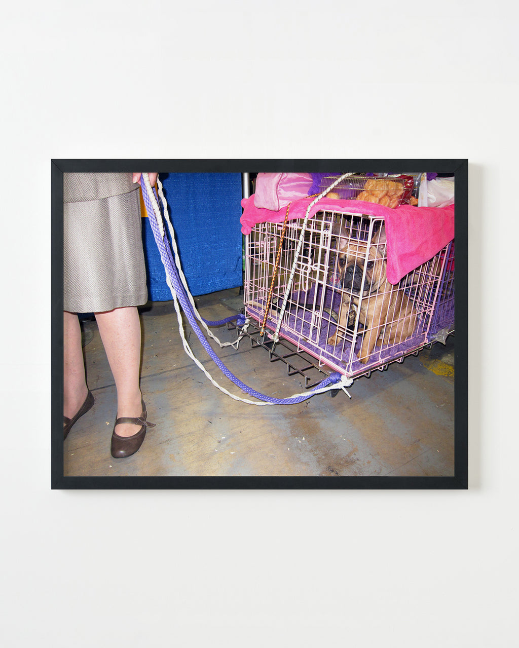 Photography by Dolly Faibyshev titled "Frenchie Goes Home" - 3.