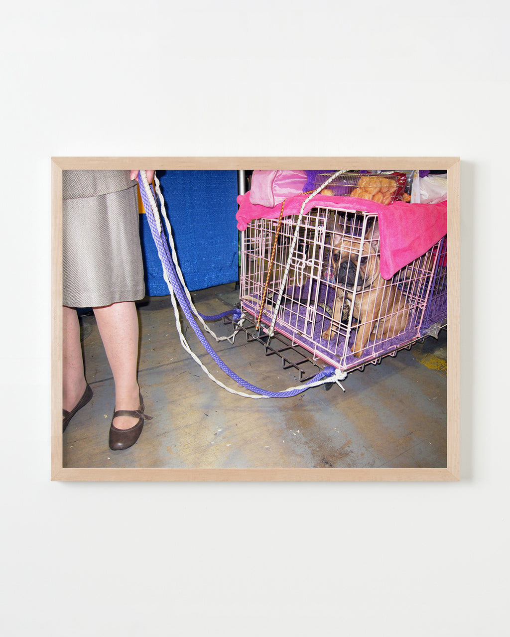 Photography by Dolly Faibyshev titled "Frenchie Goes Home" - 4.