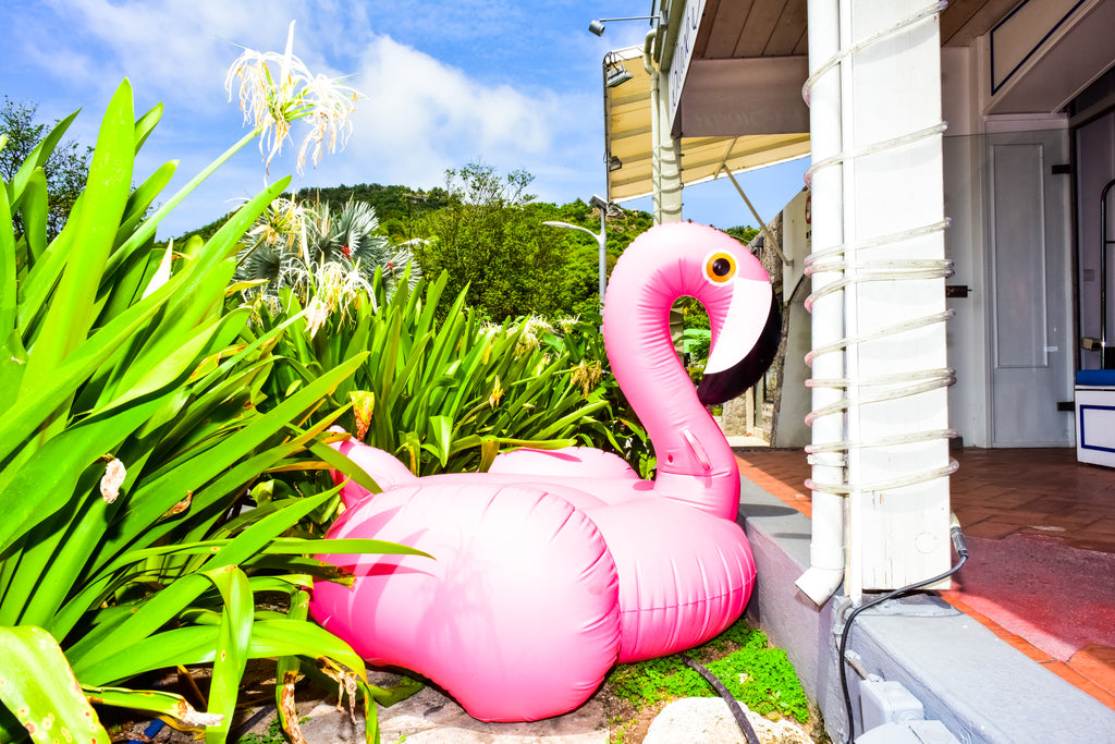 Photography by Dolly Faibyshev titled "Pink Flamingo" - 2.