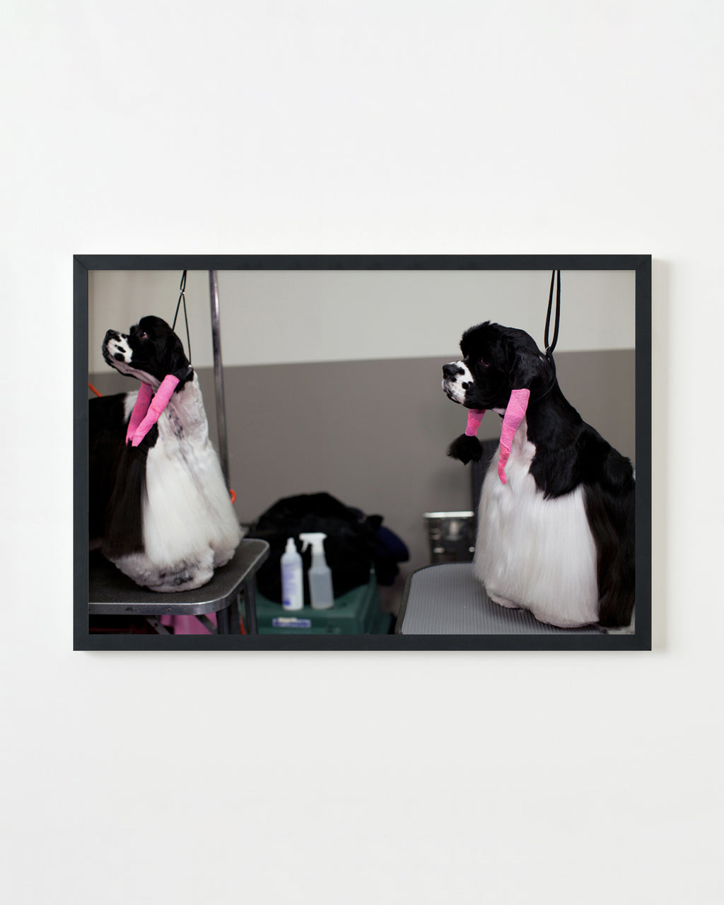 Photography by Dolly Faibyshev titled "Salon" - 3.