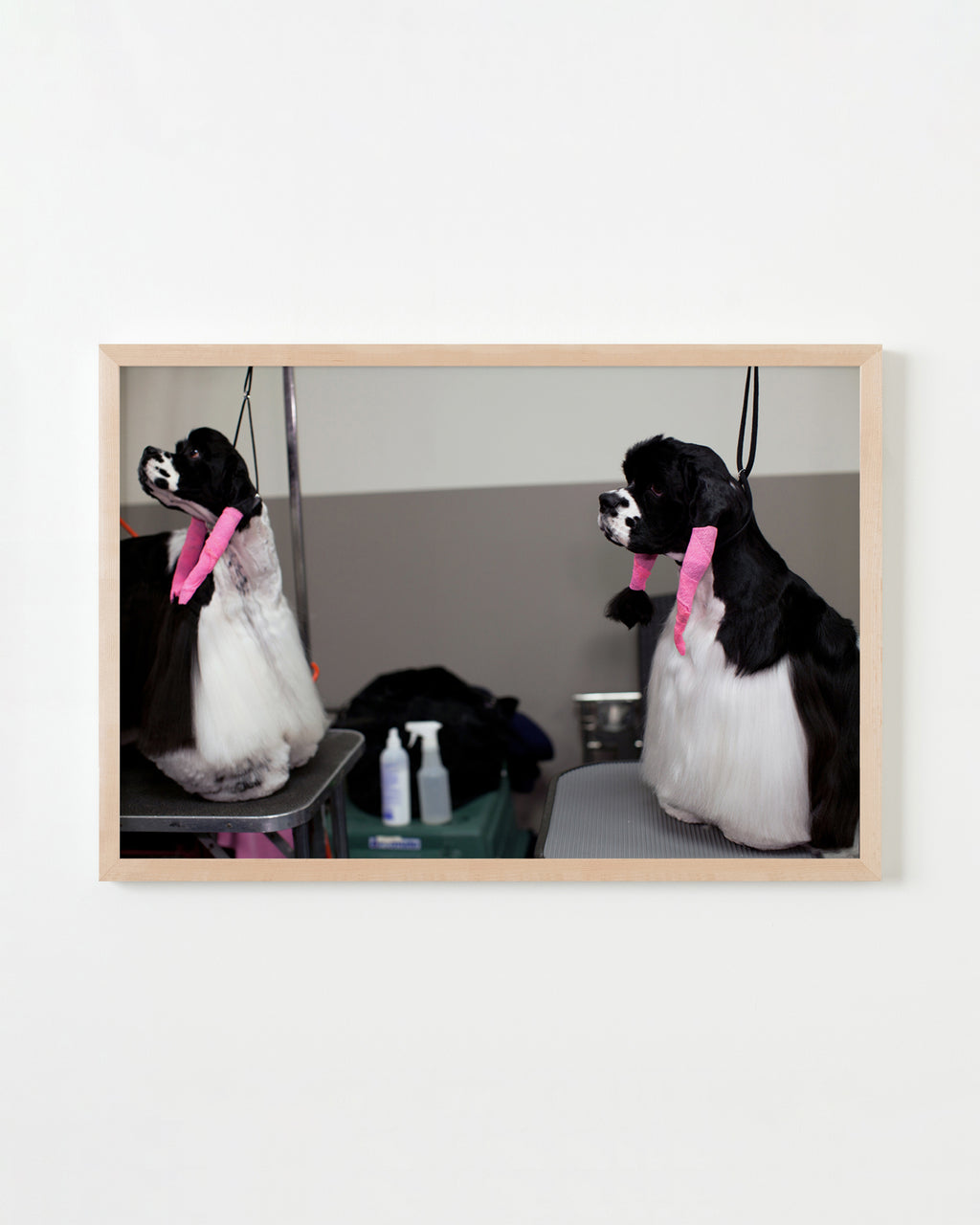 Photography by Dolly Faibyshev titled "Salon" - 4.