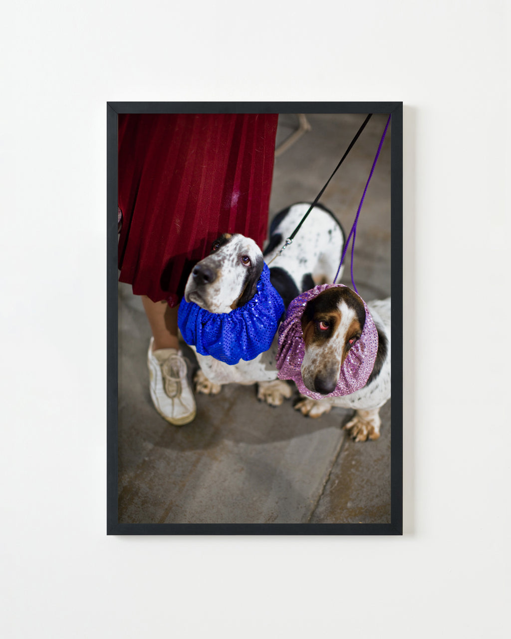 Photography by Dolly Faibyshev titled "Two Basset Hounds" - 3.