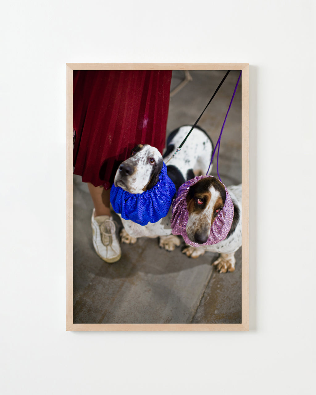 Photography by Dolly Faibyshev titled "Two Basset Hounds" - 4.