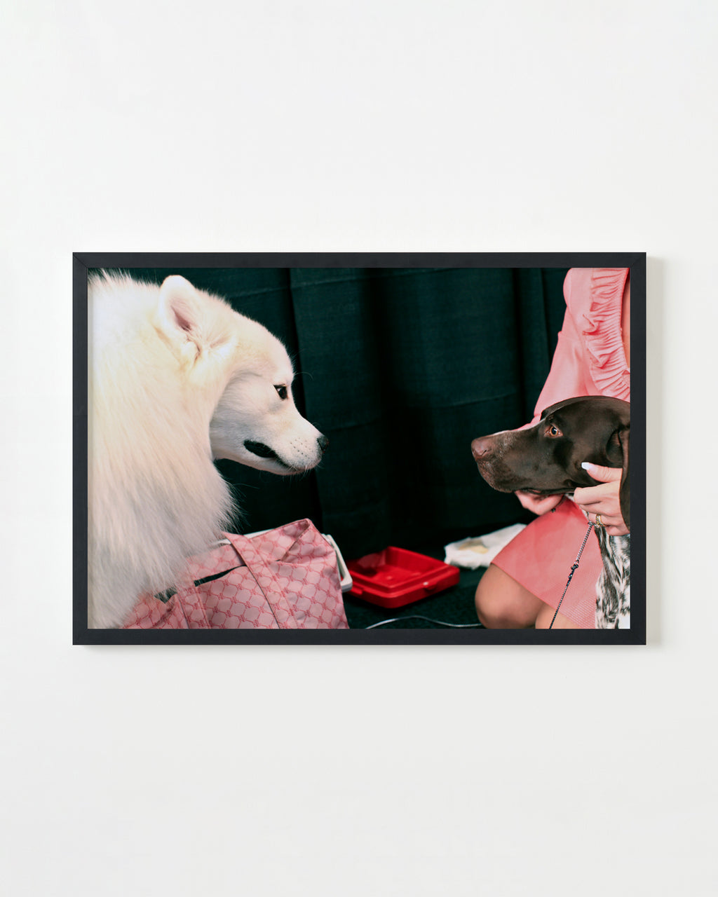 Photography by Dolly Faibyshev titled "Two Dogs" - 3.