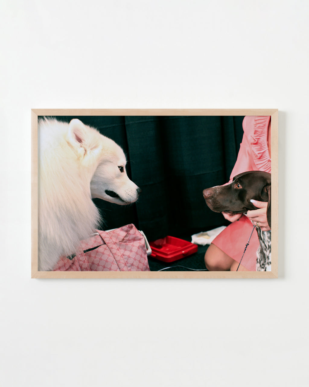 Photography by Dolly Faibyshev titled "Two Dogs" - 4.