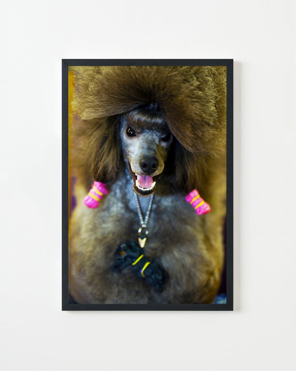 Photography by Dolly Faibyshev titled "Winking Poodle" - 3.