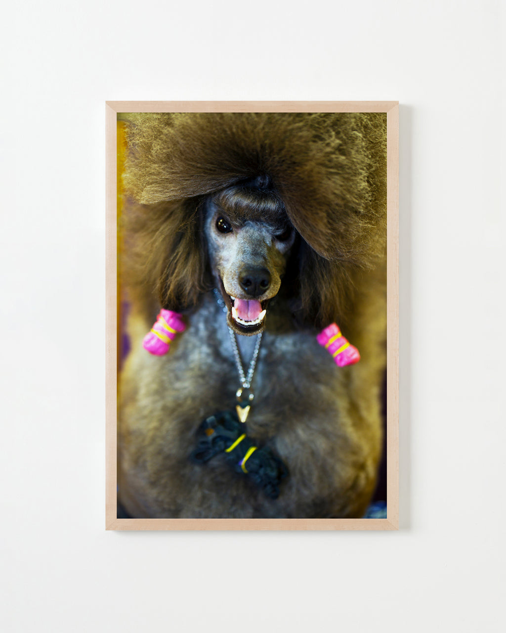 Photography by Dolly Faibyshev titled "Winking Poodle" - 4.