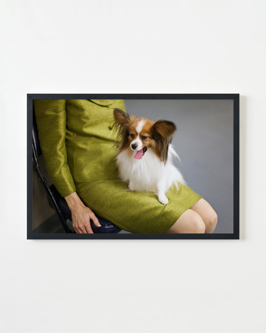 Photography by Dolly Faibyshev titled "Yawning Papillon" - 3.