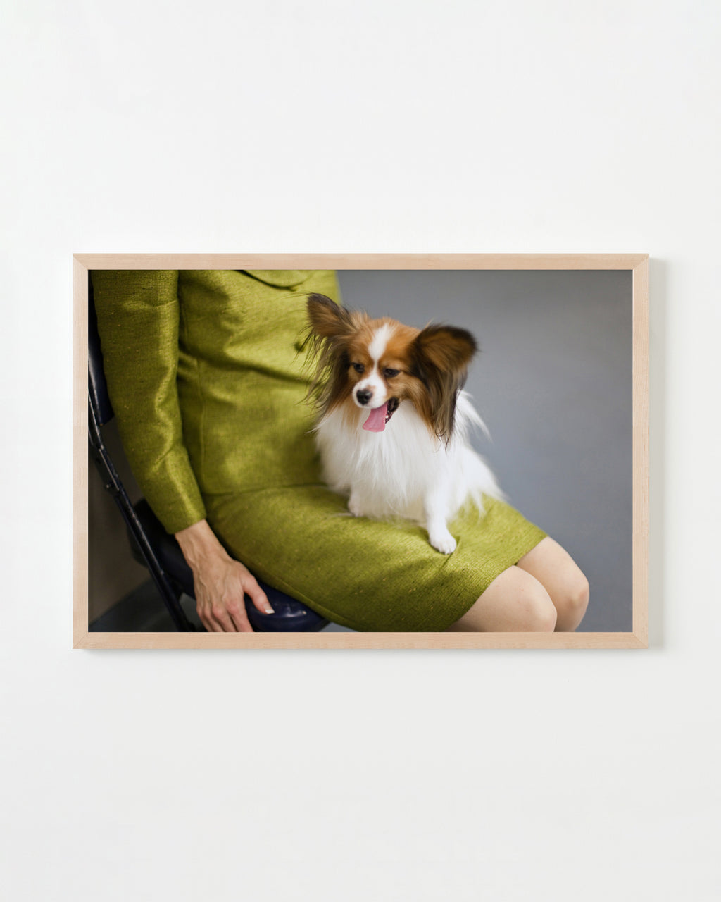 Photography by Dolly Faibyshev titled "Yawning Papillon" - 4.