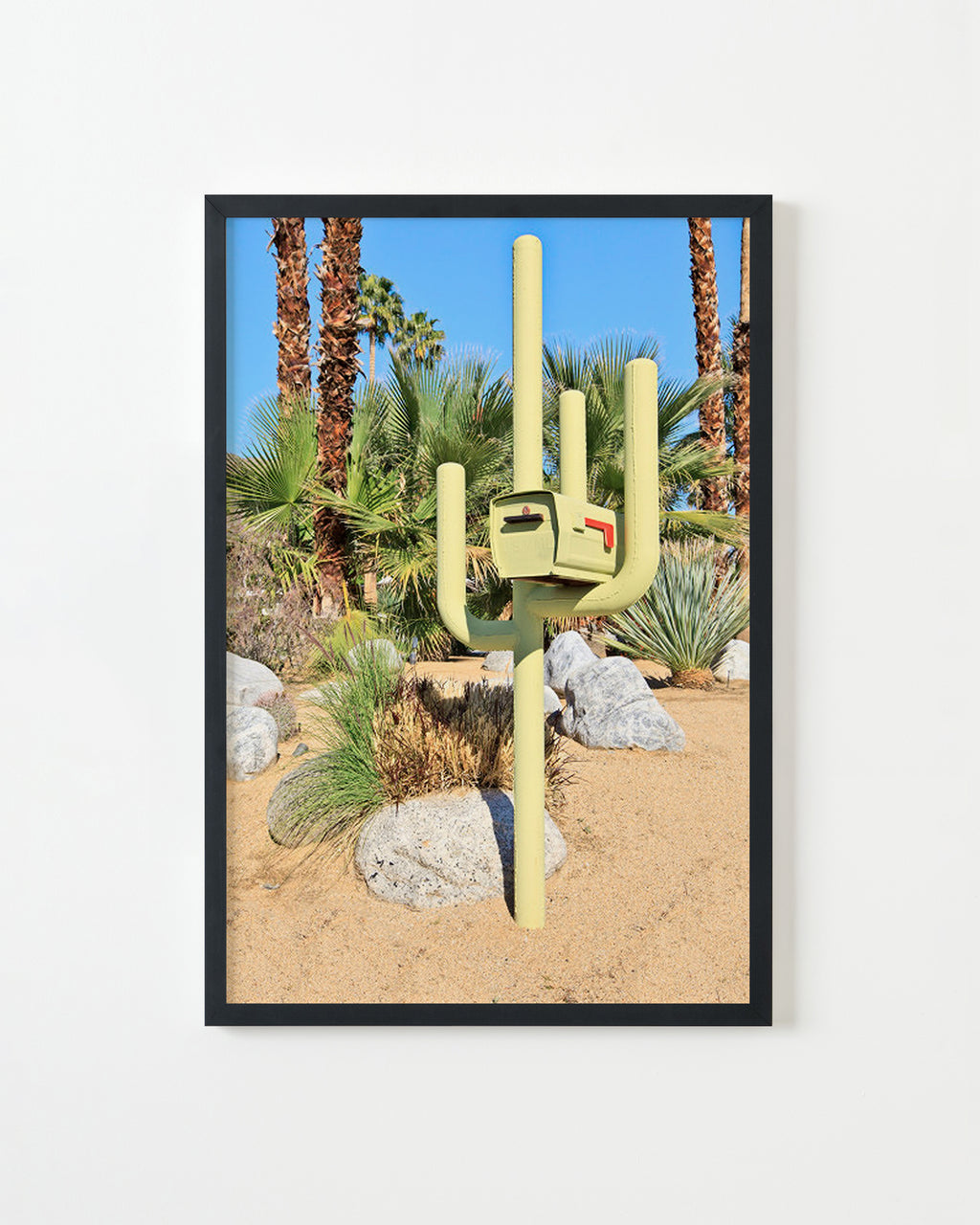 Photography by Dolly Faibyshev titled "Cactus Mailbox" - 3.