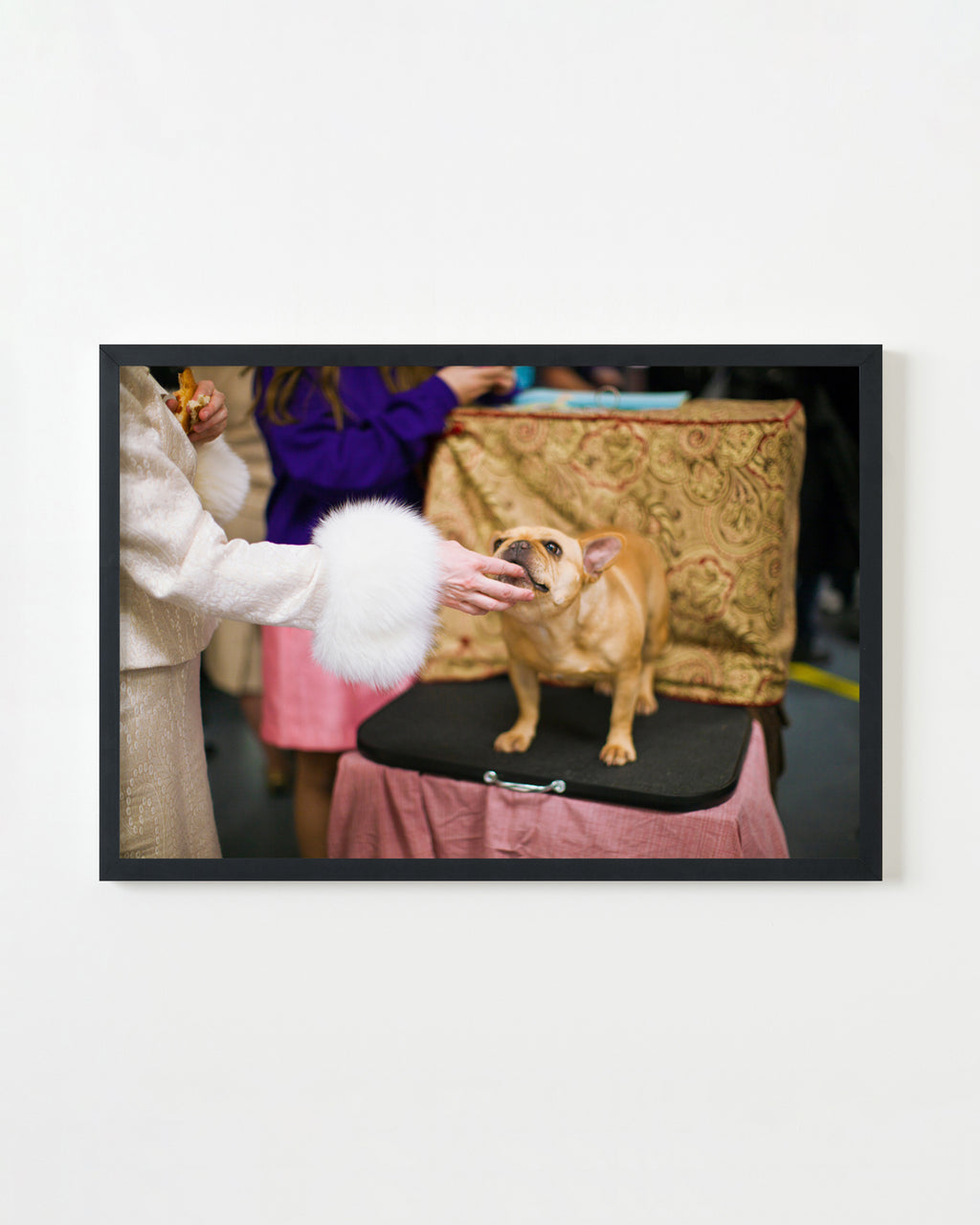 Photography by Dolly Faibyshev titled "Frenchie and Fur #2" - 3.