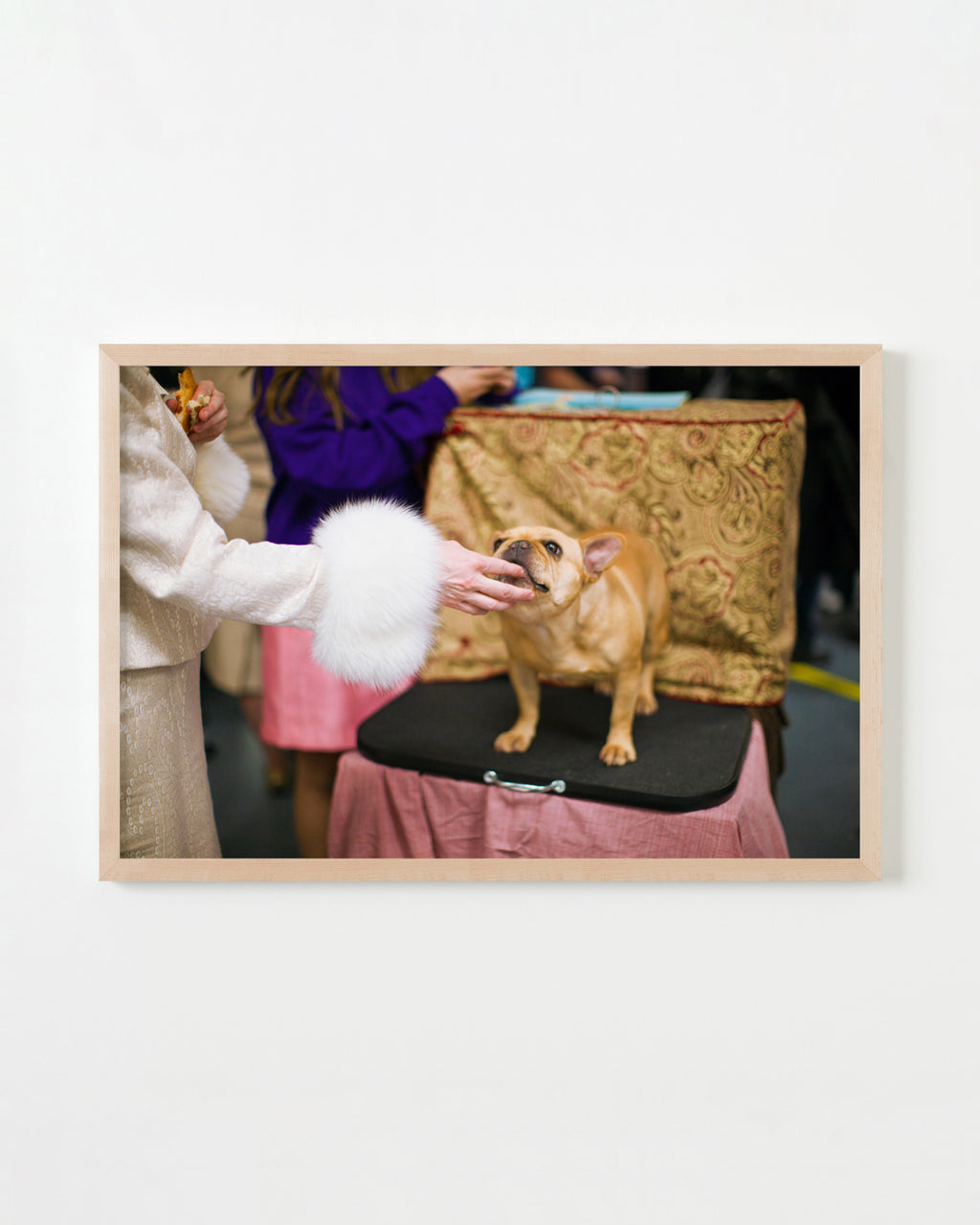 Photography by Dolly Faibyshev titled "Frenchie and Fur #2" - 4.