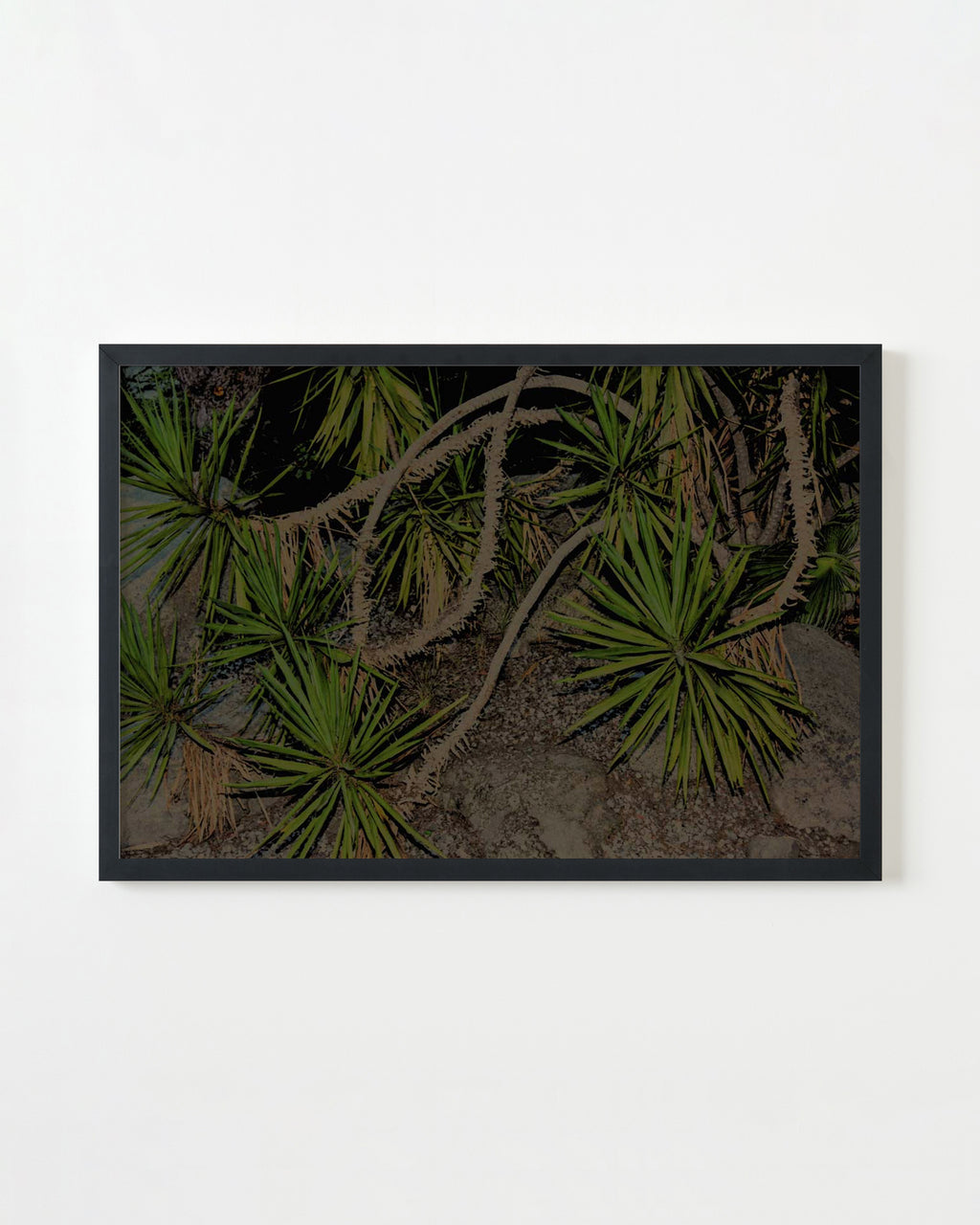 Photography by Dolly Faibyshev titled "Nature Study, Night" - 3.