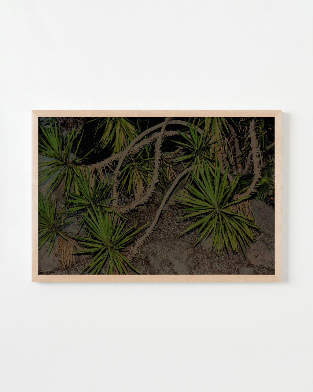 Photography by Dolly Faibyshev titled "Nature Study, Night" - 4.