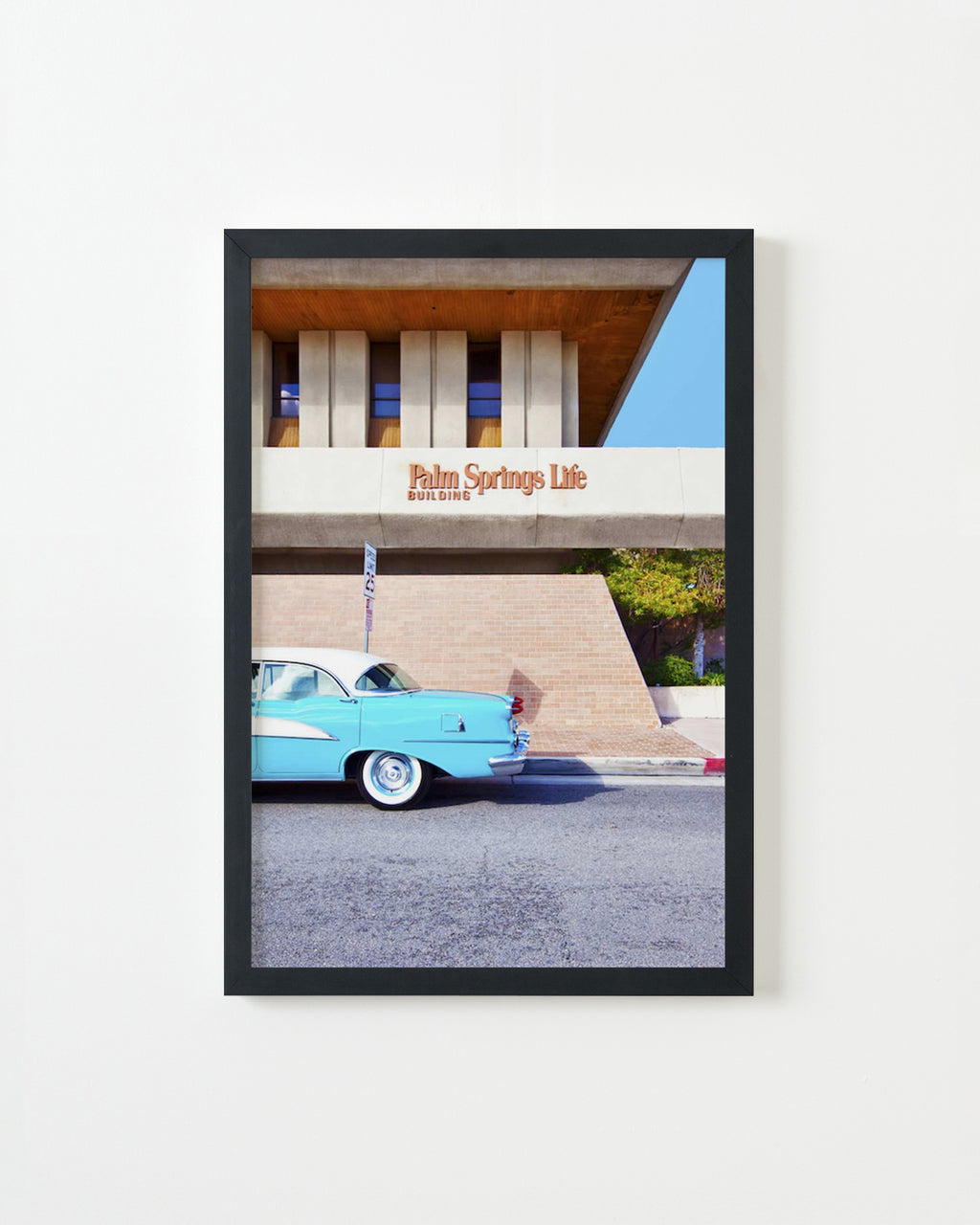 Photography by Dolly Faibyshev titled "Palm Springs Life" - 3.