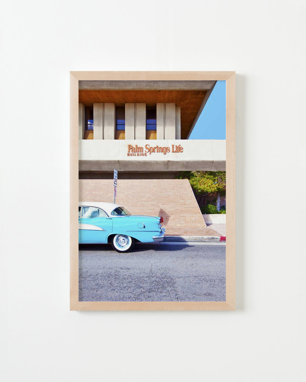 Photography by Dolly Faibyshev titled "Palm Springs Life" - 4.