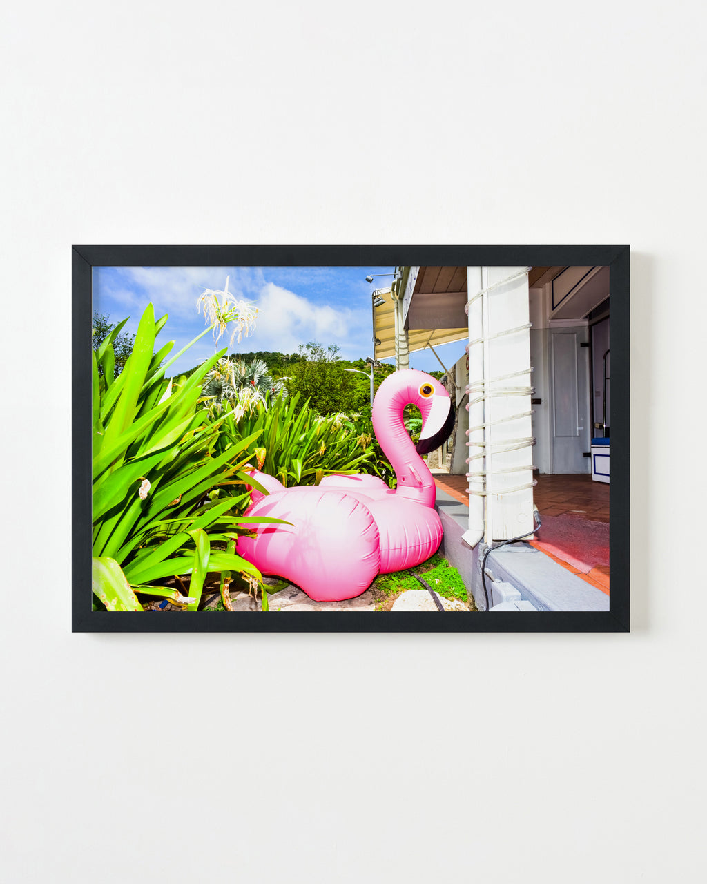 Photography by Dolly Faibyshev titled "Pink Flamingo" - 3.
