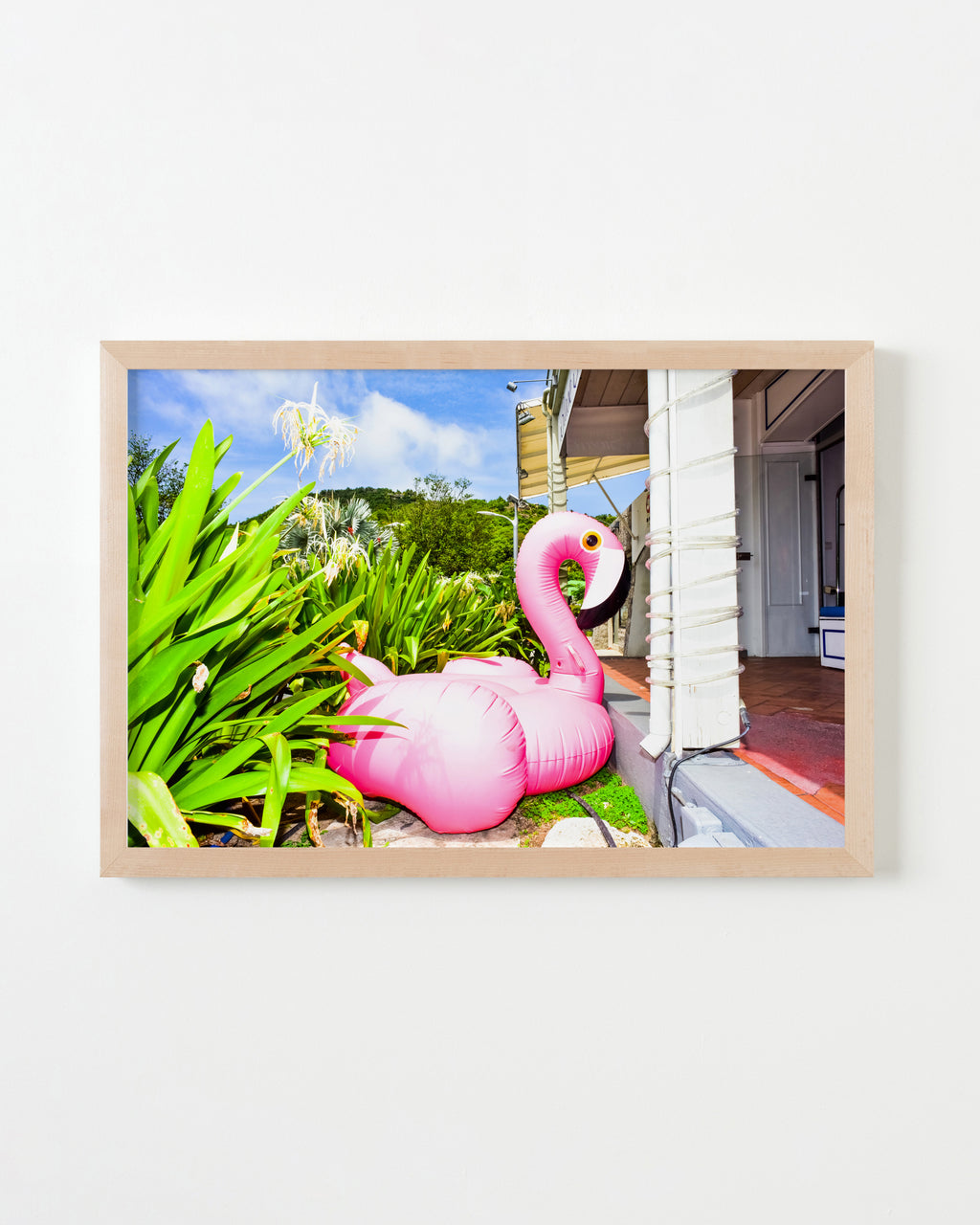 Photography by Dolly Faibyshev titled "Pink Flamingo" - 4.