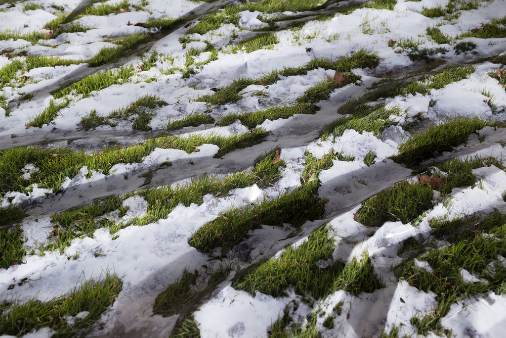 Photography by Teresa Christiansen titled "Evanesce" - 2.
