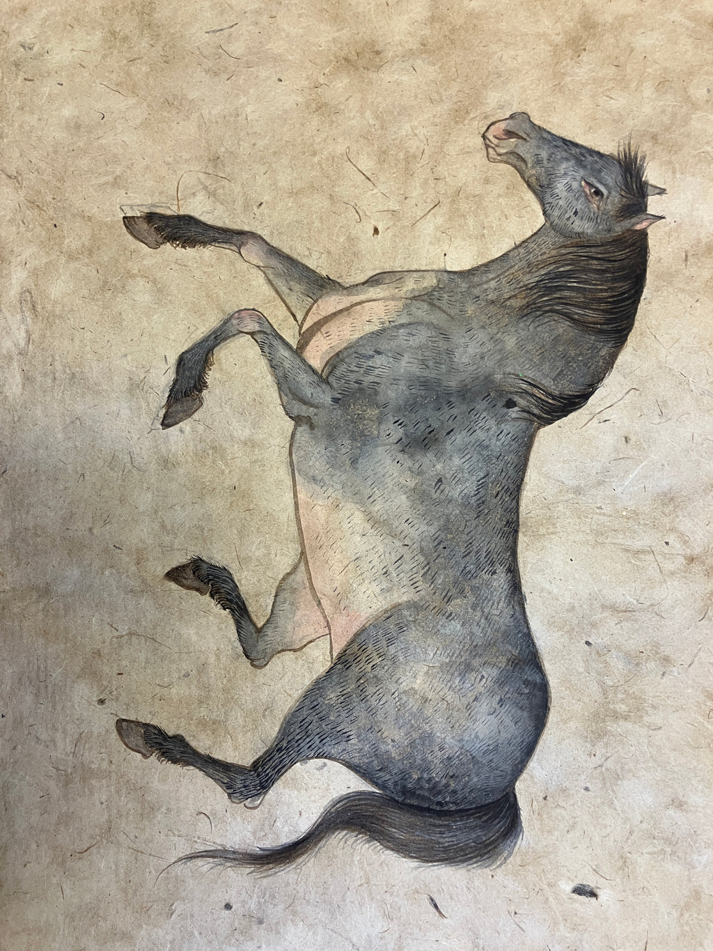 Drawing by Fay Ku titled "Horse II" - 3.